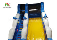 Tusukan - Bukti Ocean World Dolphin Inflatable Air Slide / Outdoor Inflatable Playground