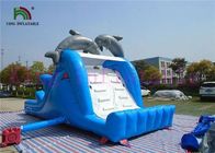 Slide PVC Tiup Kering Biru Putih Dolphin Dengan Papan Slide Dan CE Blower